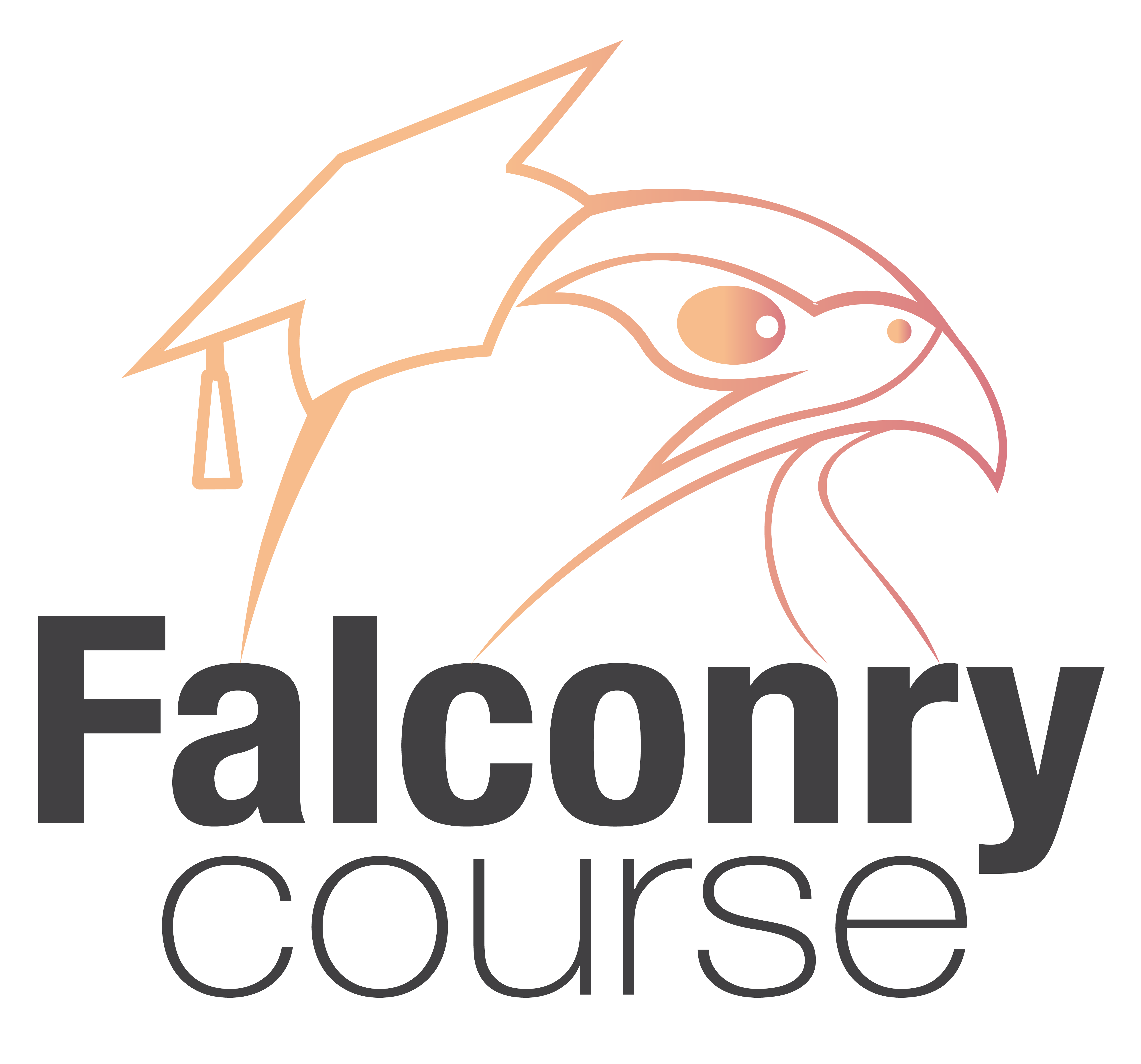 Falconry Course